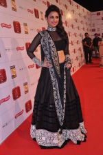 Parineeti Chopra at Stardust Awards 2013 red carpet in Mumbai on 26th jan 2013 (561).JPG